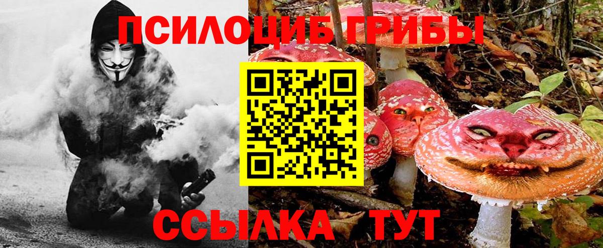 Галлюциногенные грибы Psilocybine cubensis Рузаевка