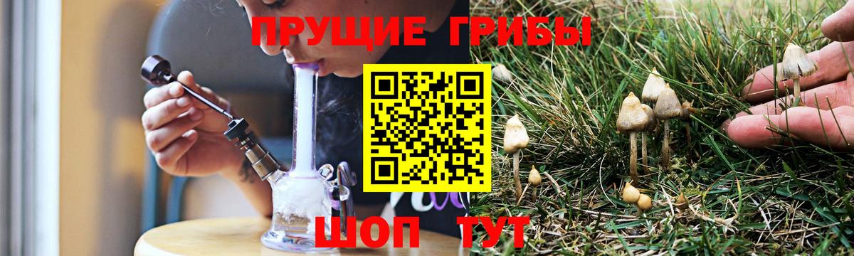 Псилоцибиновые грибы MAGIC MUSHROOMS  Вход с VPN  Псилоцибиновые грибы Psilocybine cubensis  Рузаевка 